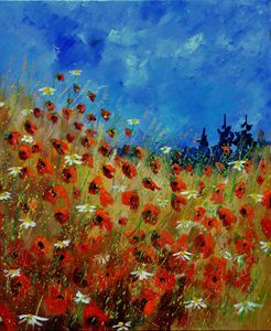 red poppies 672121 - Pol Ledent's paintings
