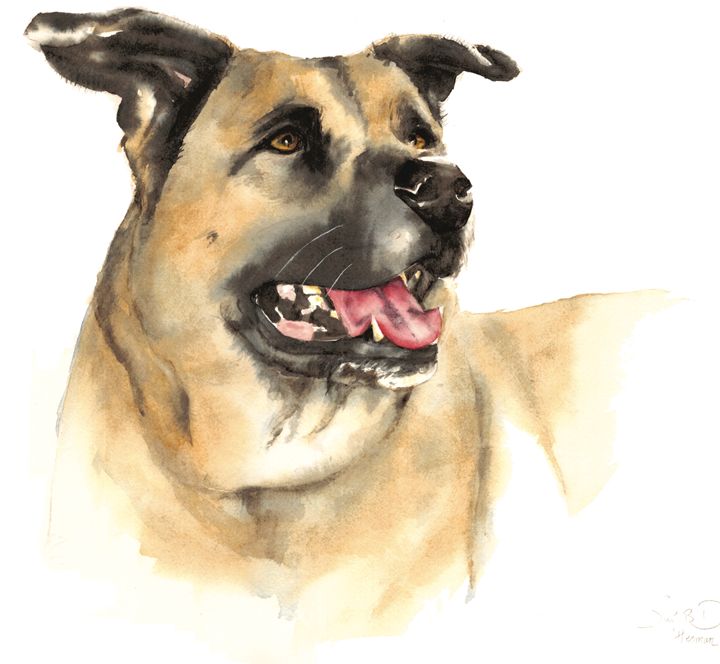 Alert and ready! - Watercolors by Susi