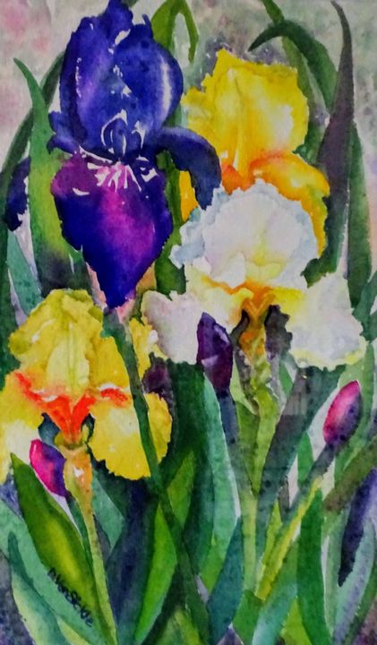Tall Irises - Darlene Van Sickle