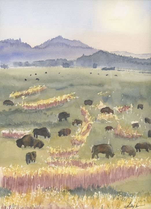 Antelope Flats, WY - Amy Byron