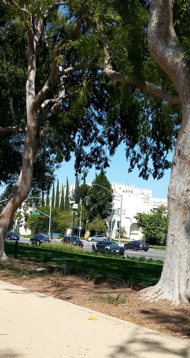Streets Of Beverly Hills - PHOTO STUDIO R21 GALLERY - Digital Art ...