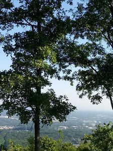 The Hill Marrietta Greenery
