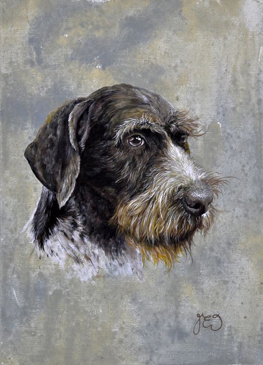Long Haired German Pointer Dog James Ineson Paintings Prints