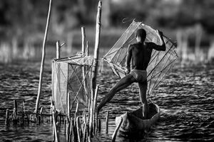 Fish trapping - Pierre-Yves Babelon