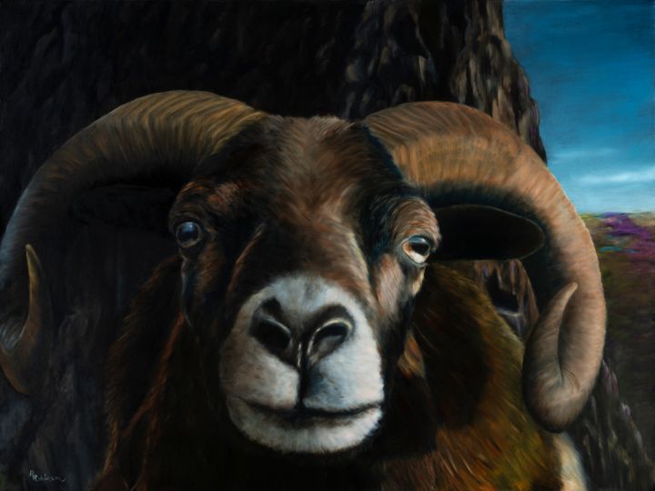 Big Horn Sheep Ram - Randy Robinson Art