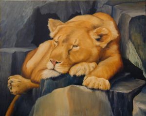 Lioness on the Rocks