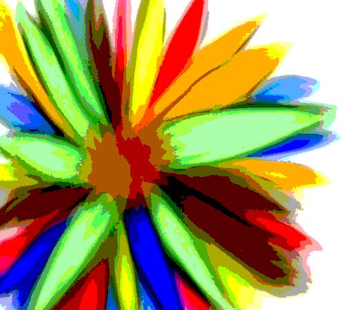 Rainbow Flower - SA Sarah Ann