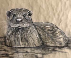 Otter Drawing, Wildlife Art, Colored Pencil Drawing, Fine Art
