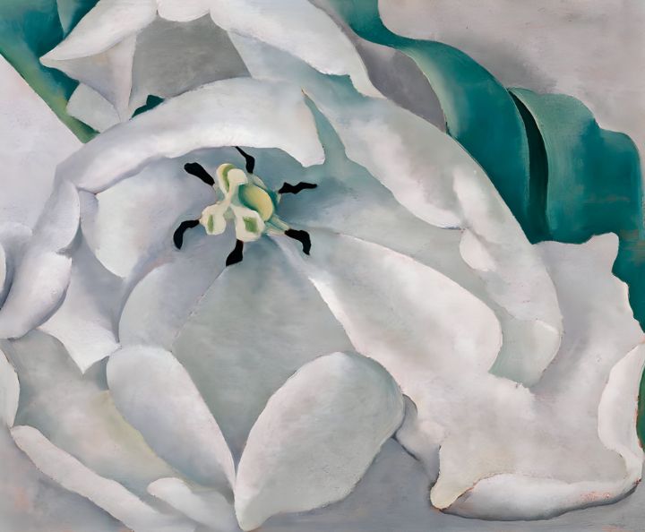 Georgia O'Keeffe - White Flower - Arts History - Paintings & Prints ...