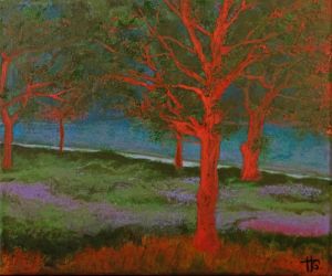 Magic Woods