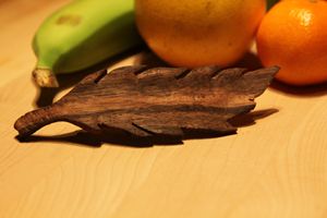 Natural leaf Hairpin - Tristan Bisaillon-Lefebvre