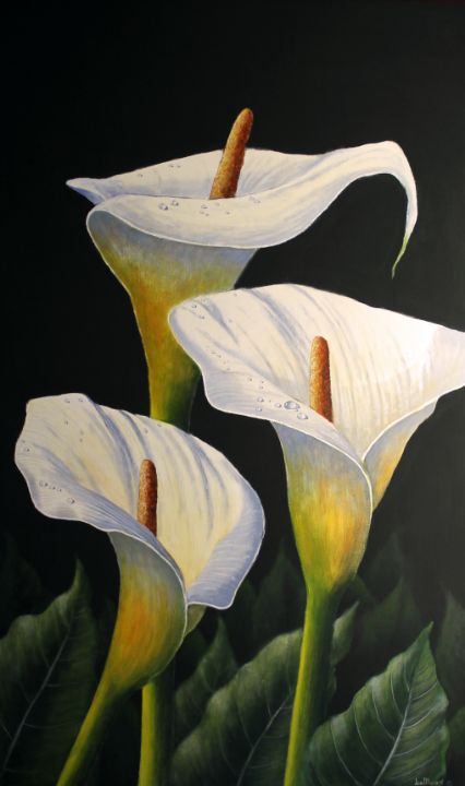 Arum Lily of the Valley - Joe Marais Art