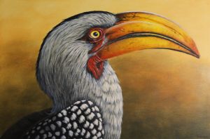 Southern Yellow-Billed Hornbill - Joe Marais Art