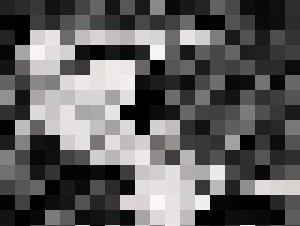 Skeleton