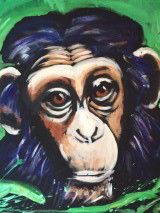 Baby Monkey