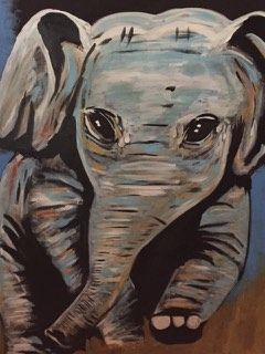 Baby Elephant - Eyes on the wall
