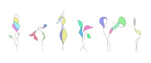 6 Flowers