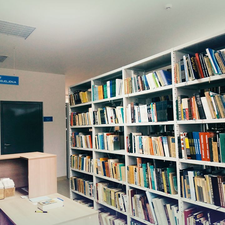 The Library - Quinn