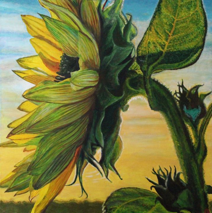 Sunset Sunflower - Brandonorbanoskyart.com