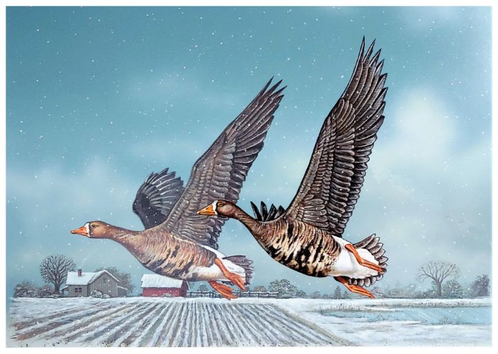 Snow Geese - James Shepard Arts