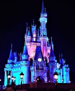 Disneyworld CAstle - James Shepard Arts