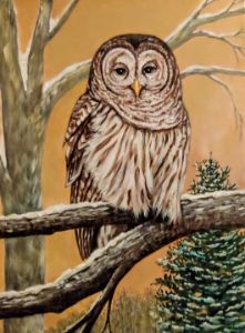 Barred Owl Painting - James Shepard Arts