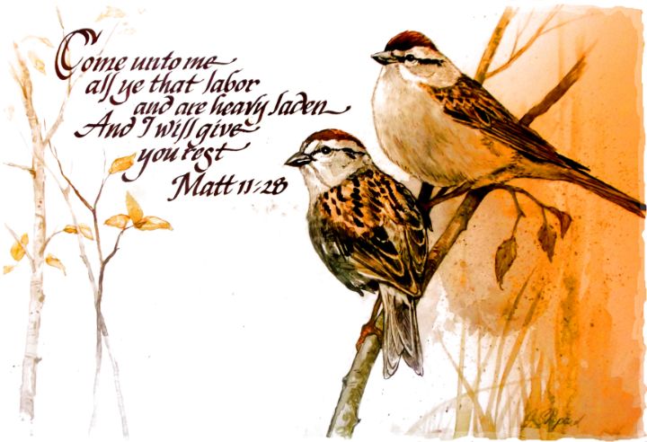 Sparrow Scripture - James Shepard Arts