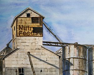 Nutrena Feeds, Palestine, Illinois - Douglas Hudson Art