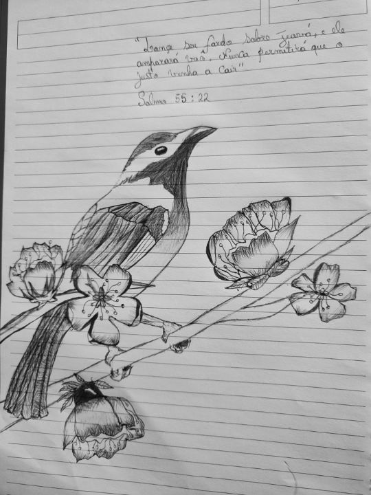 Three Cute Birds Sketch | Diane Antone Studio