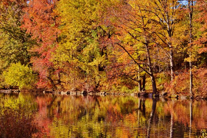 Looking Glass River - Sun Daze - Photography, Landscapes & Nature ...