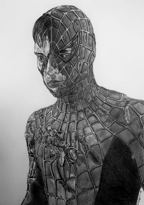 Original SpiderMan Comic Portrait Amazing Pencil Drawing Art Marvel DC   eBay