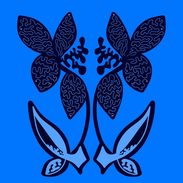 Secret blue garden - Charlottes Society