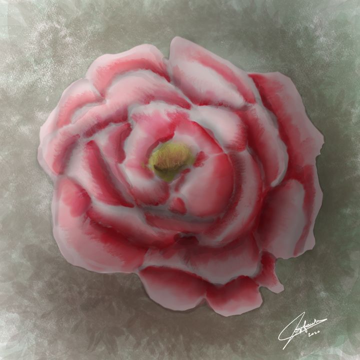 Peony Flower - DrawnDigitally