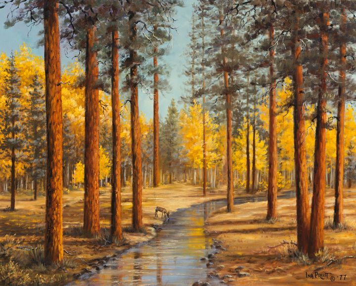 Colourful autumn trees ,oil paint. - ARTISTICAA - Paintings & Prints,  Landscapes & Nature, Forests, Boreal & Temperate - ArtPal