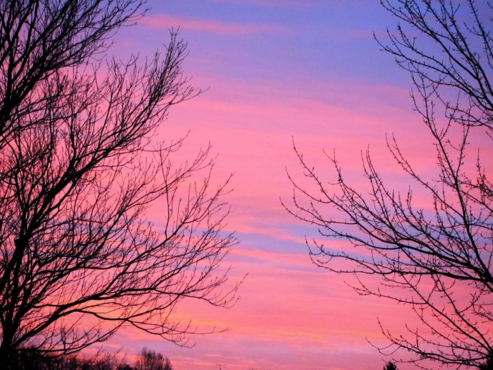 Pink Rise - Galleria Straordinaria - Photography, Landscapes & Nature ...