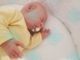 Silicone baby doll art