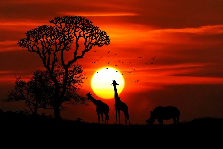 africa nature - wonderful_areas