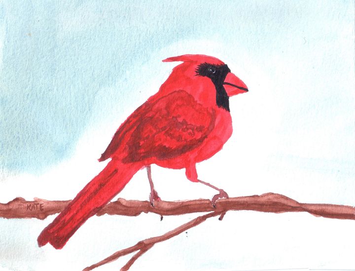 cardinal on branch - SheepyShakeShack