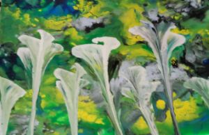 Dallas Rasberry - Paintings & Prints, Photography