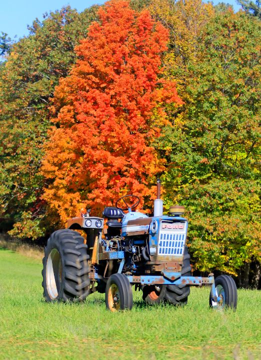 Old tractor in the fall - D&M Photography - Photography, Landscapes ...
