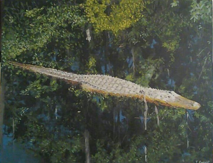 Alligator in the Black Waters of the - Terry Forrest Fine Art