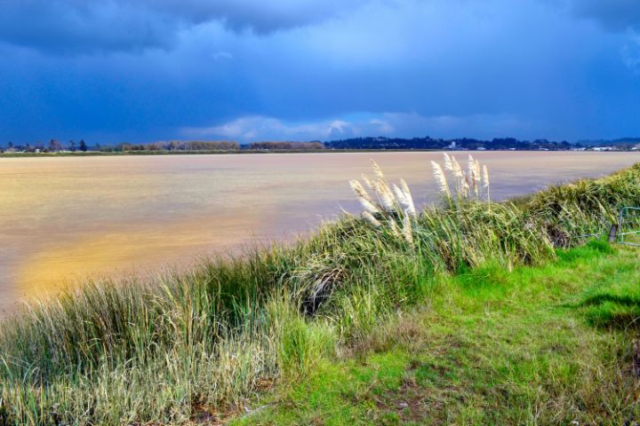 Wairoa River lukefranklinimages Photography, Landscapes & Nature
