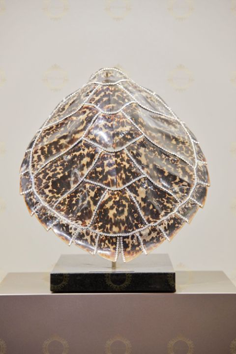 Turtle crystal - CJS GALLERY