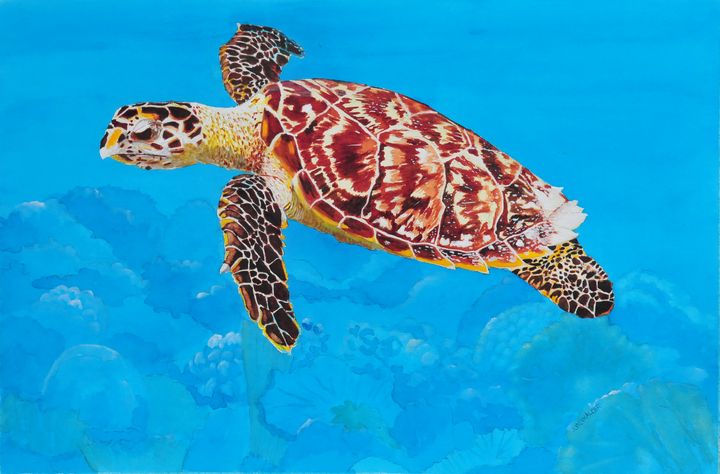 Ea (Hawksbill Sea Turtle) - John W. Walker Art