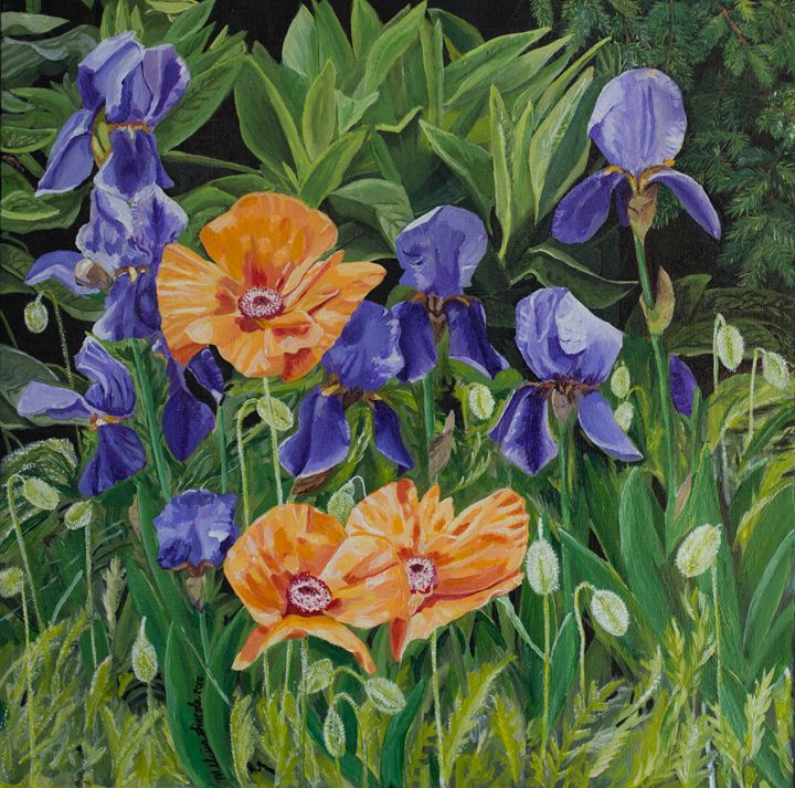Iris and Poppies Hudson Gardens - MKDL Paintings and More 
