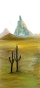 Desert cactus’s