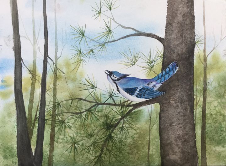 Blue Jay Watercolor Painting Bird Art Original Print Bluejay 