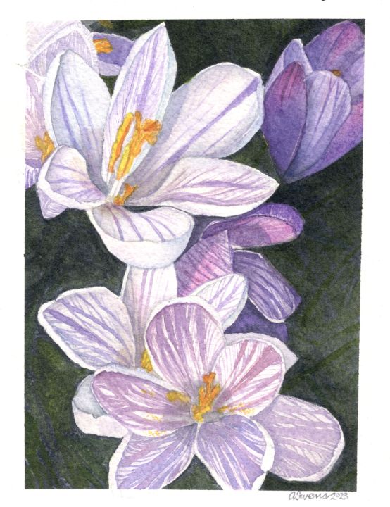 Crocus outlet painting, original watercolor, spring time painting