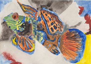 Mandalin Fish