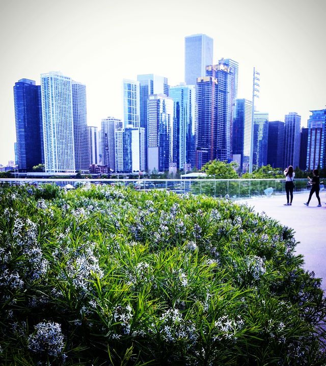 Chicago Skyscape in Light Blue - Amanda Hovseth